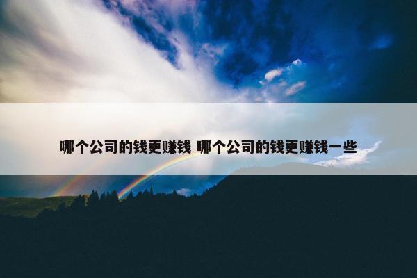 哪个公司的钱更赚钱 哪个公司的钱更赚钱一些