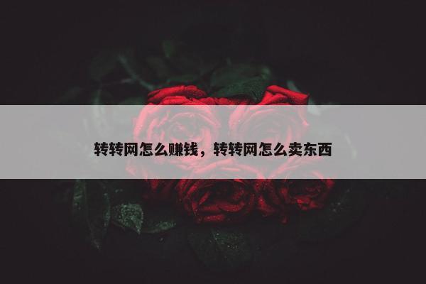 转转网怎么赚钱，转转网怎么卖东西