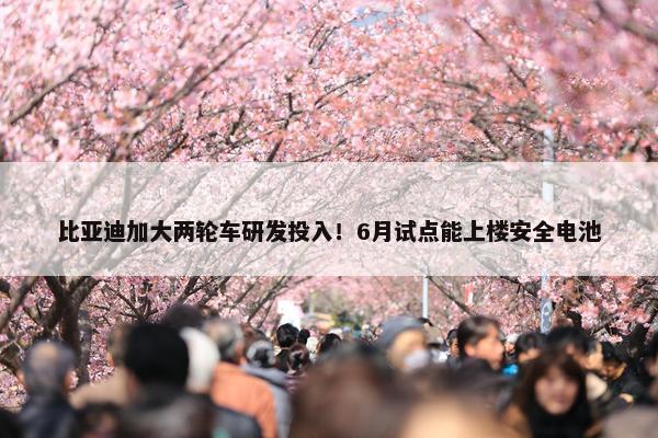 比亚迪加大两轮车研发投入！6月试点能上楼安全电池