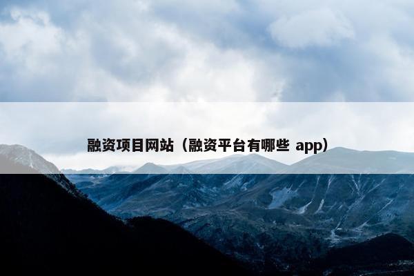 融资项目网站（融资平台有哪些 app）