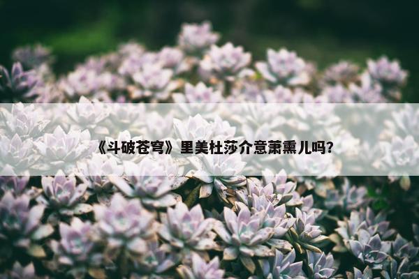 《斗破苍穹》里美杜莎介意萧熏儿吗？