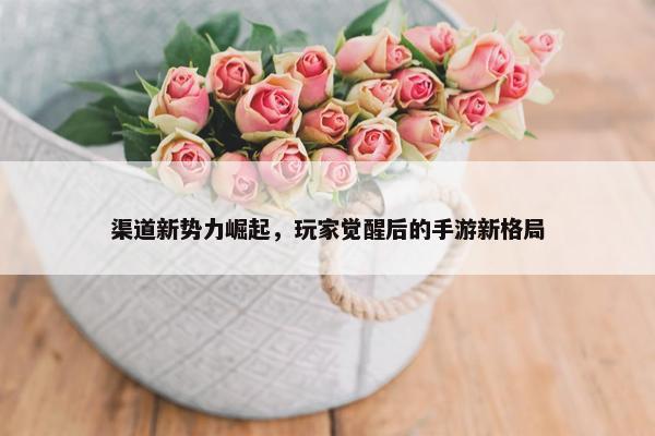 渠道新势力崛起，玩家觉醒后的手游新格局