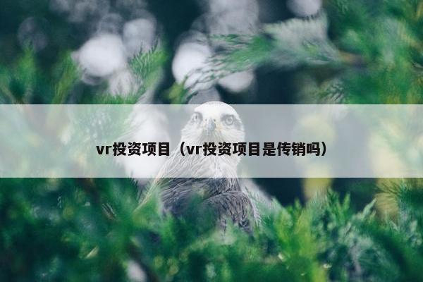 vr投资项目（vr投资项目是传销吗）