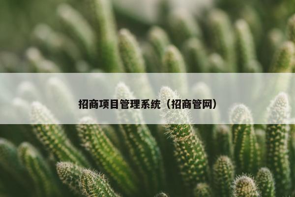 招商项目管理系统（招商管网）