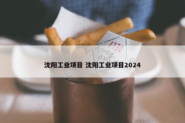 沈阳工业项目 沈阳工业项目2024