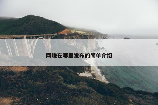 网赚在哪里发布的简单介绍