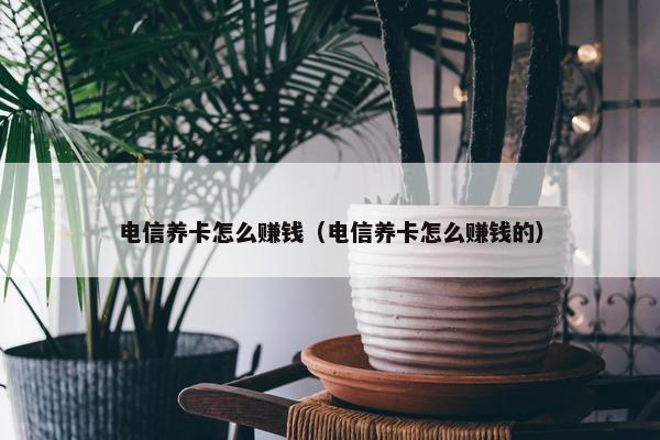 电信养卡怎么赚钱（电信养卡怎么赚钱的）