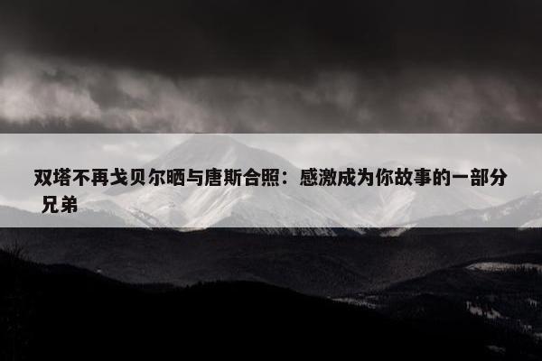 双塔不再戈贝尔晒与唐斯合照：感激成为你故事的一部分 兄弟